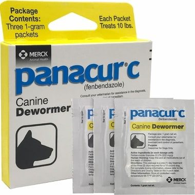 panacur c dog dewormer - fenbendazole cancer treatment concept image