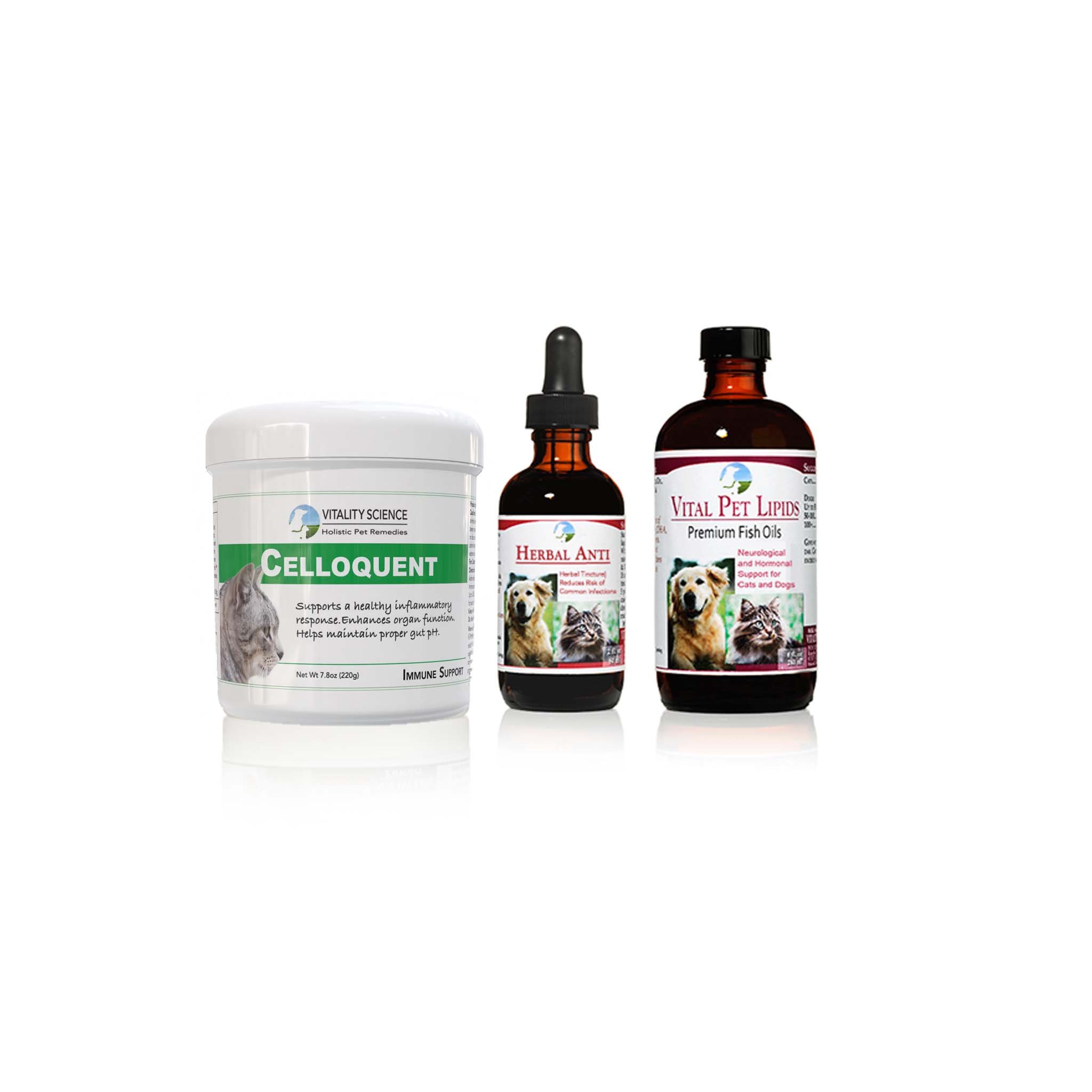 Advanced Immune Restoration for Cats