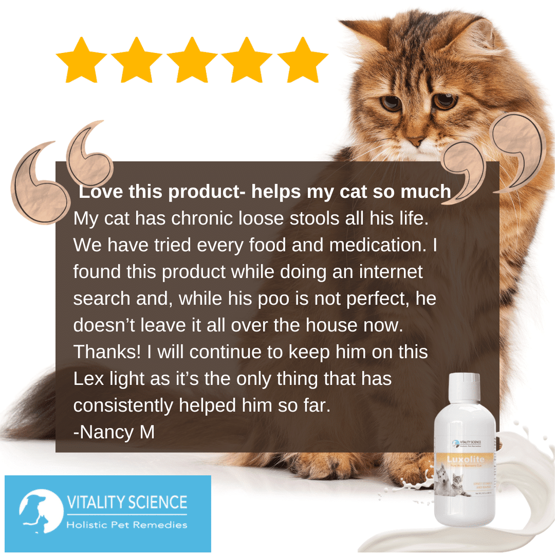 Luxolite for Cats | Pure White Bentonite Clay for Cats - Image 5