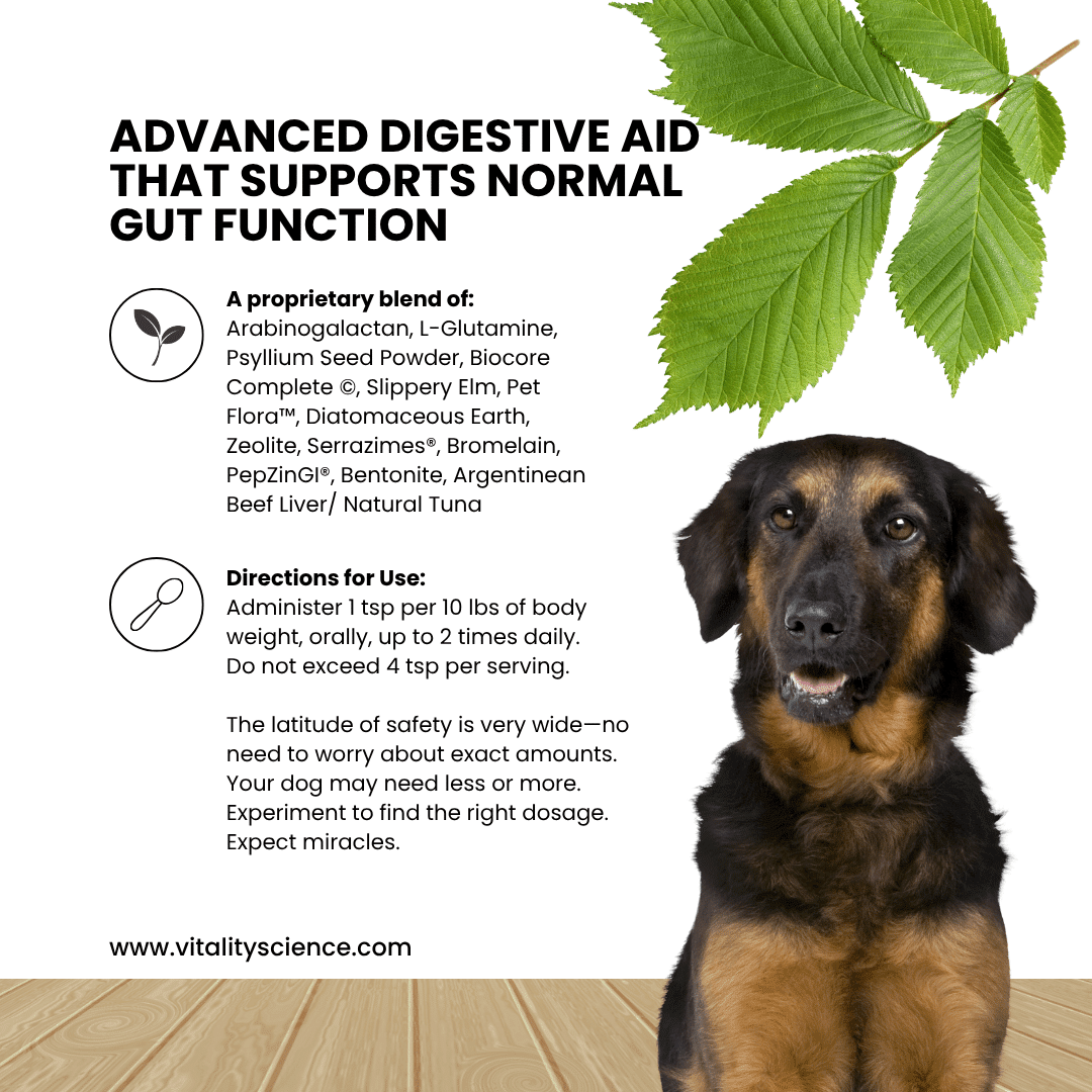 Canine Comfort Plus - Image 2