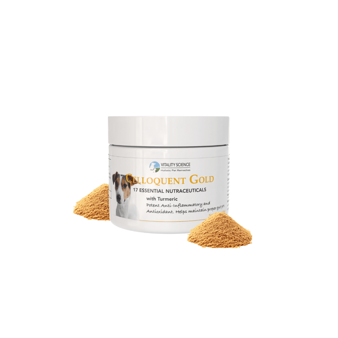 Celloquent Gold | Multi-Nutrient with Turmeric | Immune Support for Dogs