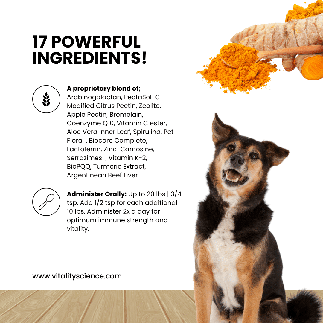 Celloquent Gold | Multi-Nutrient with Turmeric | Immune Support for Dogs - Image 3