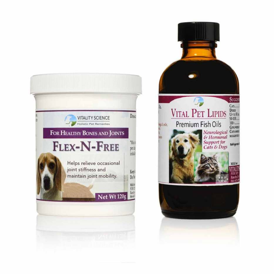 Can Dogs Have Fish Oil For Arthritis