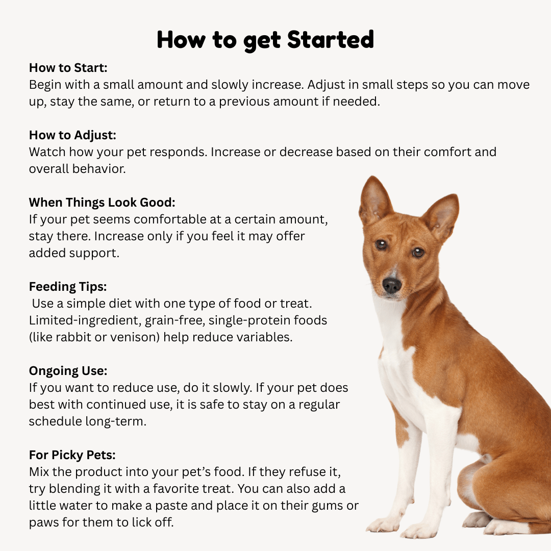 Celloquent Gold | Multi-Nutrient with Turmeric | Immune Support for Dogs - Image 4