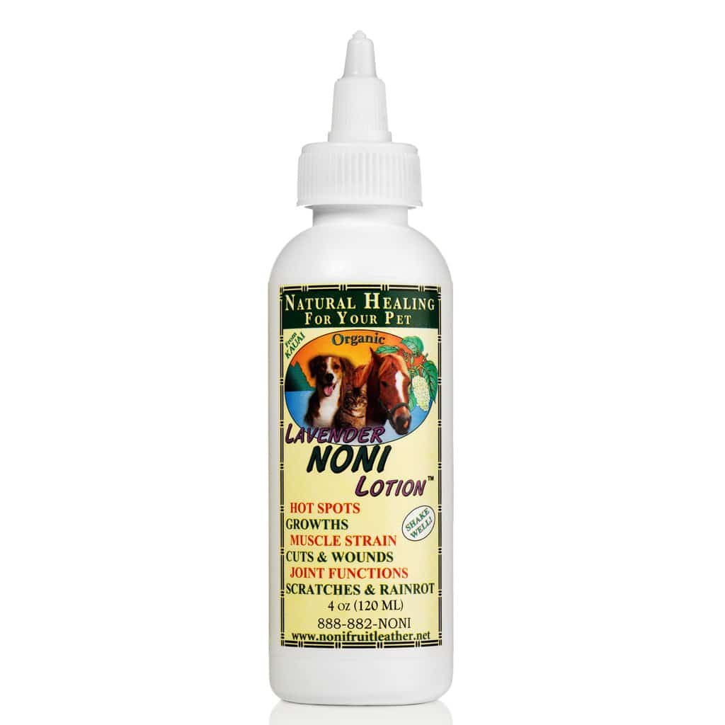 noni lotion