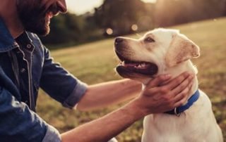 Man affectionately holding dog's neck - pet immune support concept image