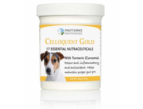 Celloquent Gold And Its Impact On The Health & Wellness Of Your Dog & Cats