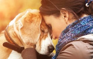 petcancer